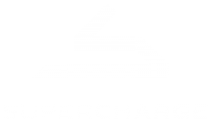 site-logo-alt
